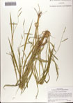 000081428-thumbnail.jpg