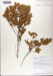 000081436-thumbnail.jpg