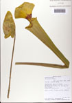 000081468-thumbnail.jpg