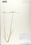 000081469-thumbnail.jpg