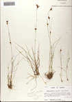 000081470-thumbnail.jpg