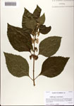 000081480-thumbnail.jpg
