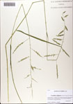 000081552-thumbnail.jpg