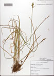 000081657-thumbnail.jpg