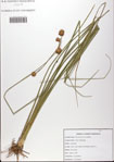 000081673-thumbnail.jpg