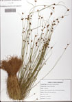 000081674-thumbnail.jpg