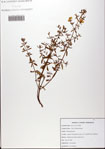 000081683-thumbnail.jpg