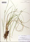 000081762-thumbnail.jpg