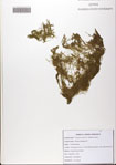 000081822-thumbnail.jpg