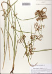 000081912-thumbnail.jpg