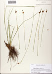 000081919-thumbnail.jpg