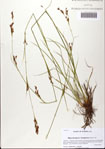 000081920-thumbnail.jpg