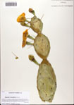 000081936-thumbnail.jpg