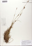 000081941-thumbnail.jpg