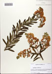 000082013-thumbnail.jpg