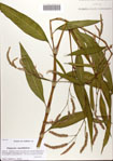 000082022-thumbnail.jpg