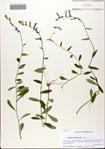 000082114-thumbnail.jpg