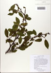000082123-thumbnail.jpg