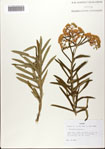 000082185-thumbnail.jpg