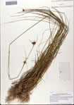 000082210-thumbnail.jpg