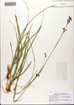 000082211-thumbnail.jpg