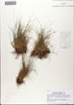 000082212-thumbnail.jpg
