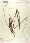 000082291-thumbnail.jpg