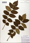 000082300-thumbnail.jpg