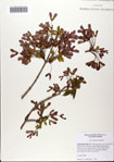 000082312-thumbnail.jpg