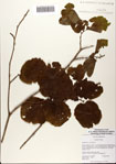 000082314-thumbnail.jpg