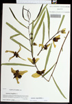 000082318-thumbnail.jpg