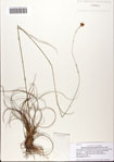 000082375-thumbnail.jpg