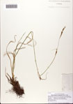 000082378-thumbnail.jpg