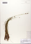 000082379-thumbnail.jpg