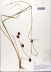 000082380-thumbnail.jpg