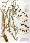 000082381-thumbnail.jpg