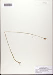 000082382-thumbnail.jpg