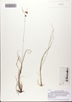 000082383-thumbnail.jpg