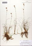 000082496-thumbnail.jpg
