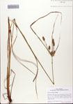 000082516-thumbnail.jpg