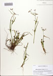 000082519-thumbnail.jpg