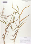 000082526-thumbnail.jpg