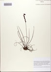 000082543-thumbnail.jpg