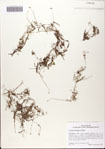 000082622-thumbnail.jpg