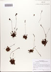 000082669-thumbnail.jpg
