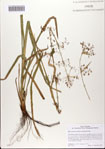 000082695-thumbnail.jpg