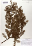 000082907-thumbnail.jpg