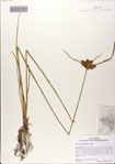 000083008-thumbnail.jpg