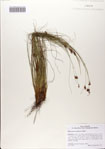 000083010-thumbnail.jpg