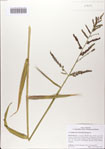 000083024-thumbnail.jpg